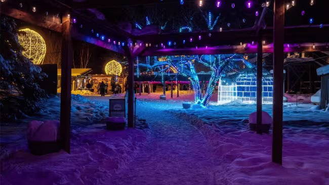 Photo du festival de lumière de Sandhill nursery